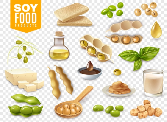 Set of beans with plant leaves and soy food products isolated on transparent background vector illustration