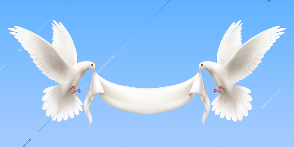 Horizontal composition with two white flying doves on blue background holding empty white banner in its beak as symbol of peace and harmony realistic vector illustration