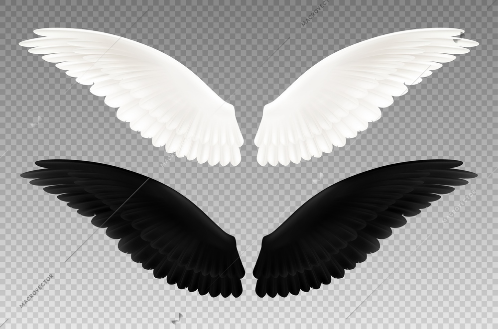 Set of realistic black and white pair of wings on transparent background as symbol of good and evil isolated vector illustration