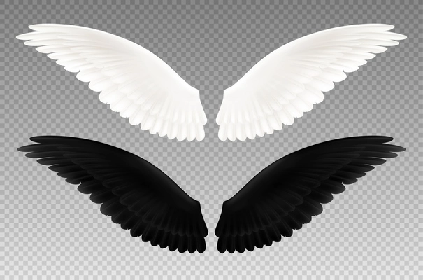 Set of realistic black and white pair of wings on transparent background as symbol of good and evil isolated vector illustration