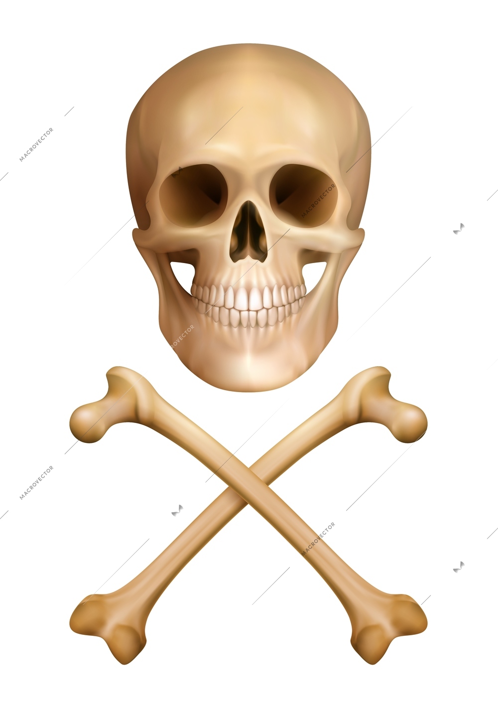 Traditional warning of danger design concept in realistic style with human skull and crossed bones vector illustration