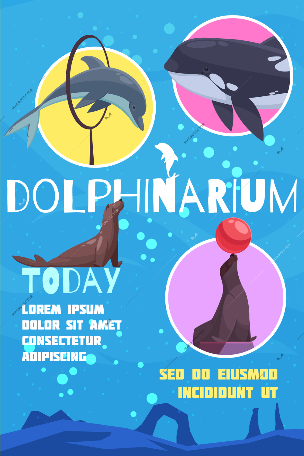 Dolphinarium poster with flat images of cetacean fishes with editable text captions and underwater background vector illustration