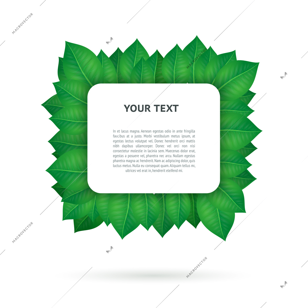 Green leaves frame template isolated vector illustration