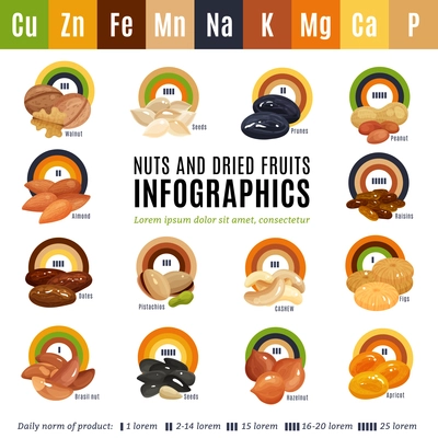 Flat design infographics presenting information about nuts and dried fruits and their daily norm isolated vector illustration
