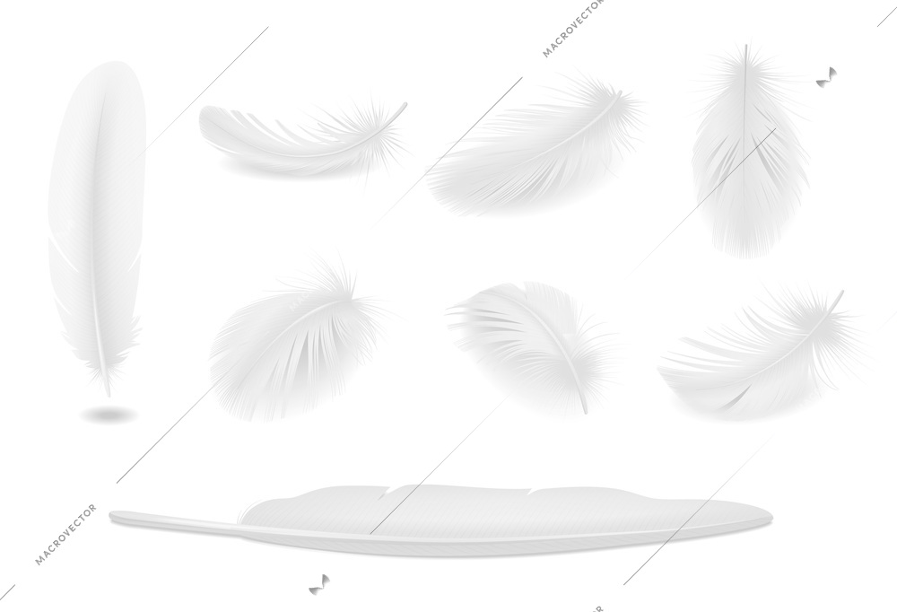 White clean bird feathers realistic set isolated vector illustration