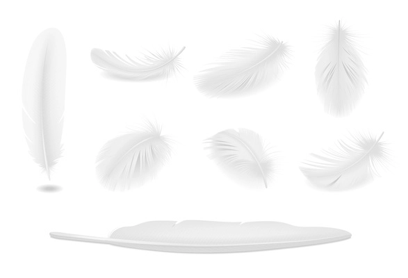 White clean bird feathers realistic set isolated vector illustration