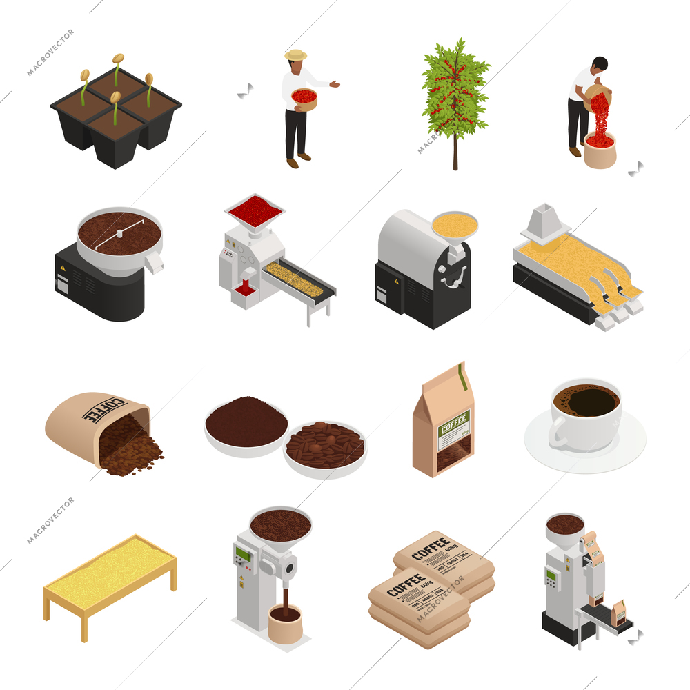 Coffee industry production isometric icons set with isolated images of coffee trees burr grinders working people vector illustration