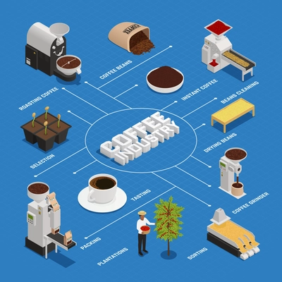 Coffee industry production isometric flowchart composition with isolated icons and images representing different coffee production stages vector illustration