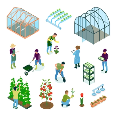 Greenhouse glasshouse hydroponic system vegetables flowers cultivation irrigation facilities isometric elements set with workers isolated vector illustration