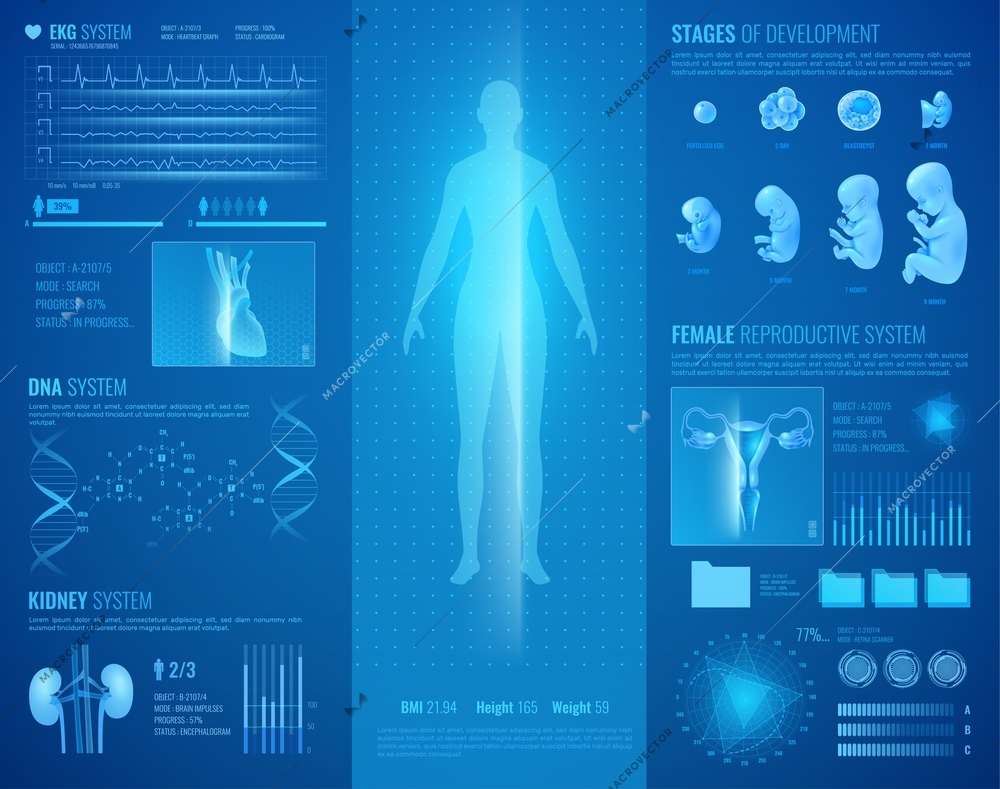 Medical hud interface with heart and kidney system realistic vector illustration