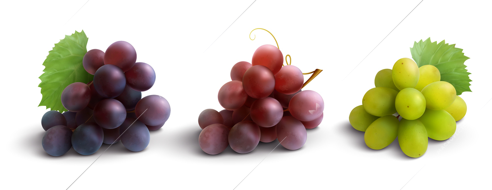 Grapes realistic composition with red rose and white grapes isolated vector illustration