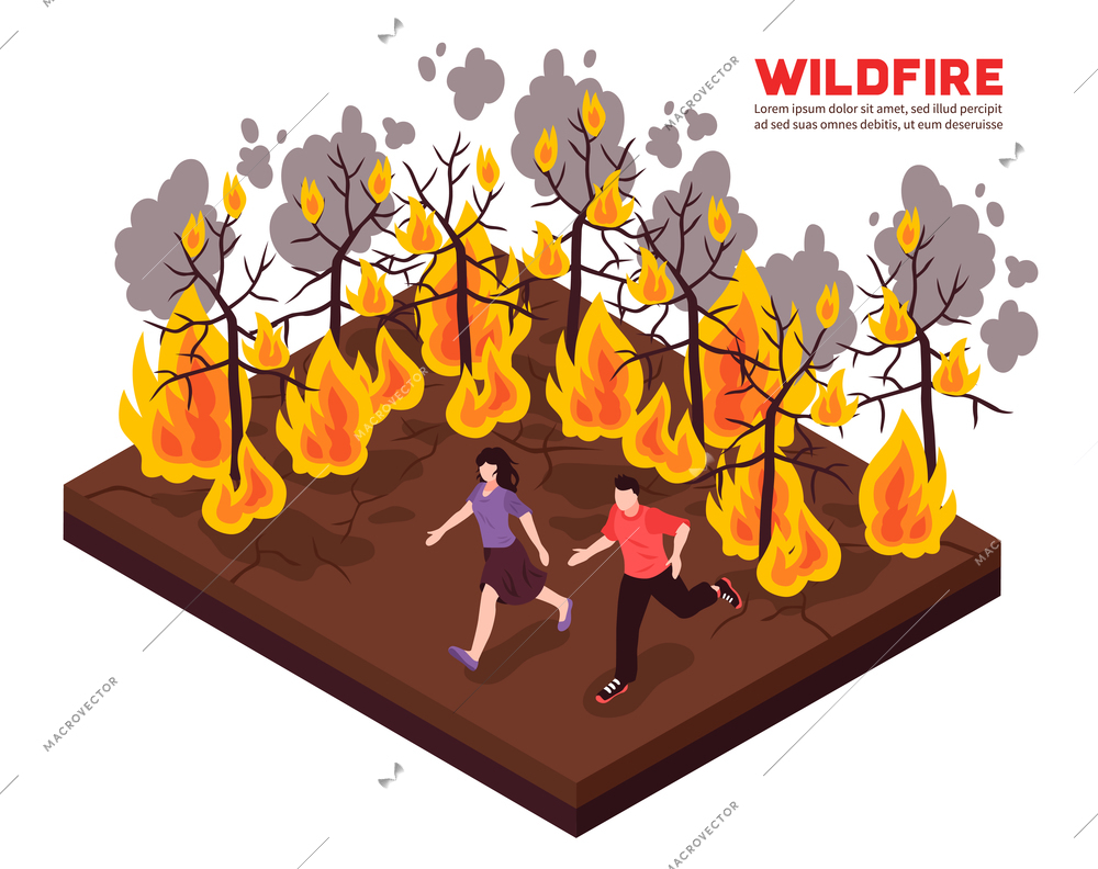 Wildfire isometric composition with people running away from flame of burning forest trees vector illustration