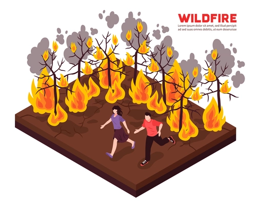 Wildfire isometric composition with people running away from flame of burning forest trees vector illustration