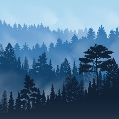 Evening fog over tops of trees of pine forest vector illustration