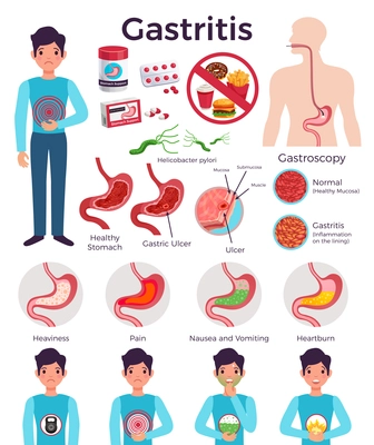 Gastritis facts flat infographic elements on disease with unhealthy food bacteria stomach conditions gastroscopy medicine vector illustration