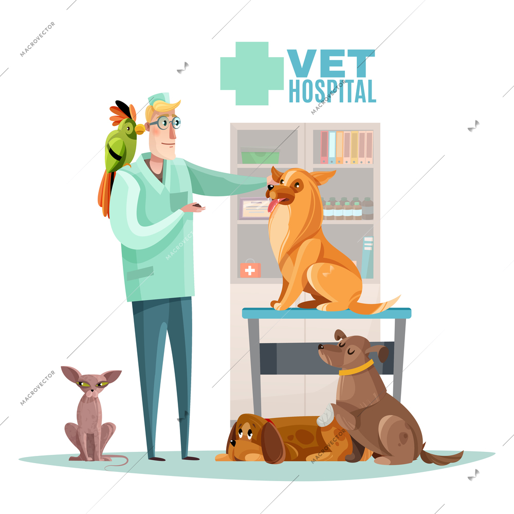 Vet hospital composition with veterinarian and pets interior elements flat vector illustration