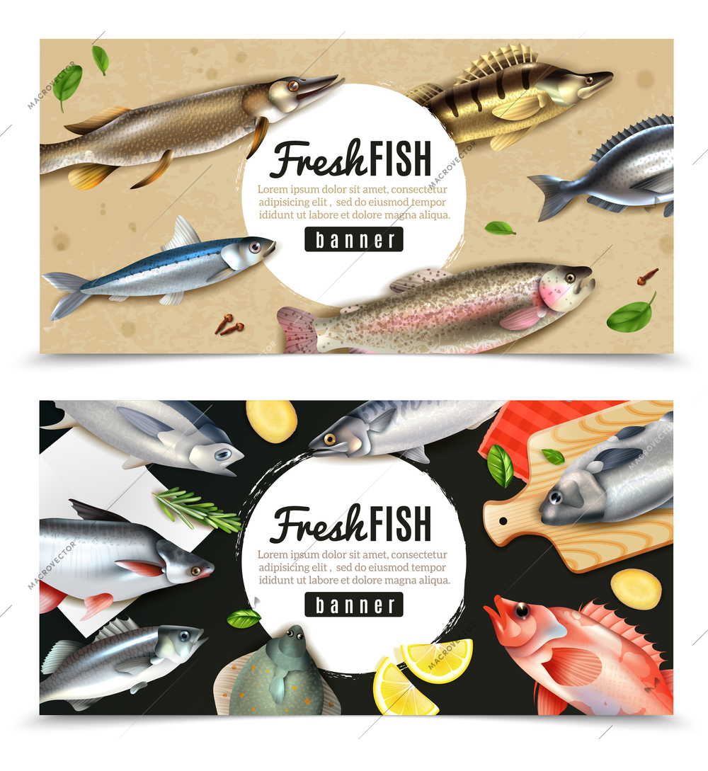Saltwater and river fishes for cooking with spices set of horizontal banners isolated vector illustration