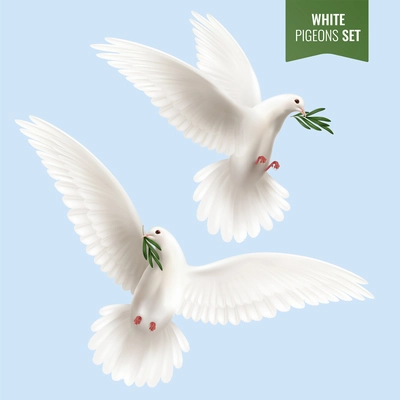 White dove set with peace and olive branch symbols realistic isolated vector illustration