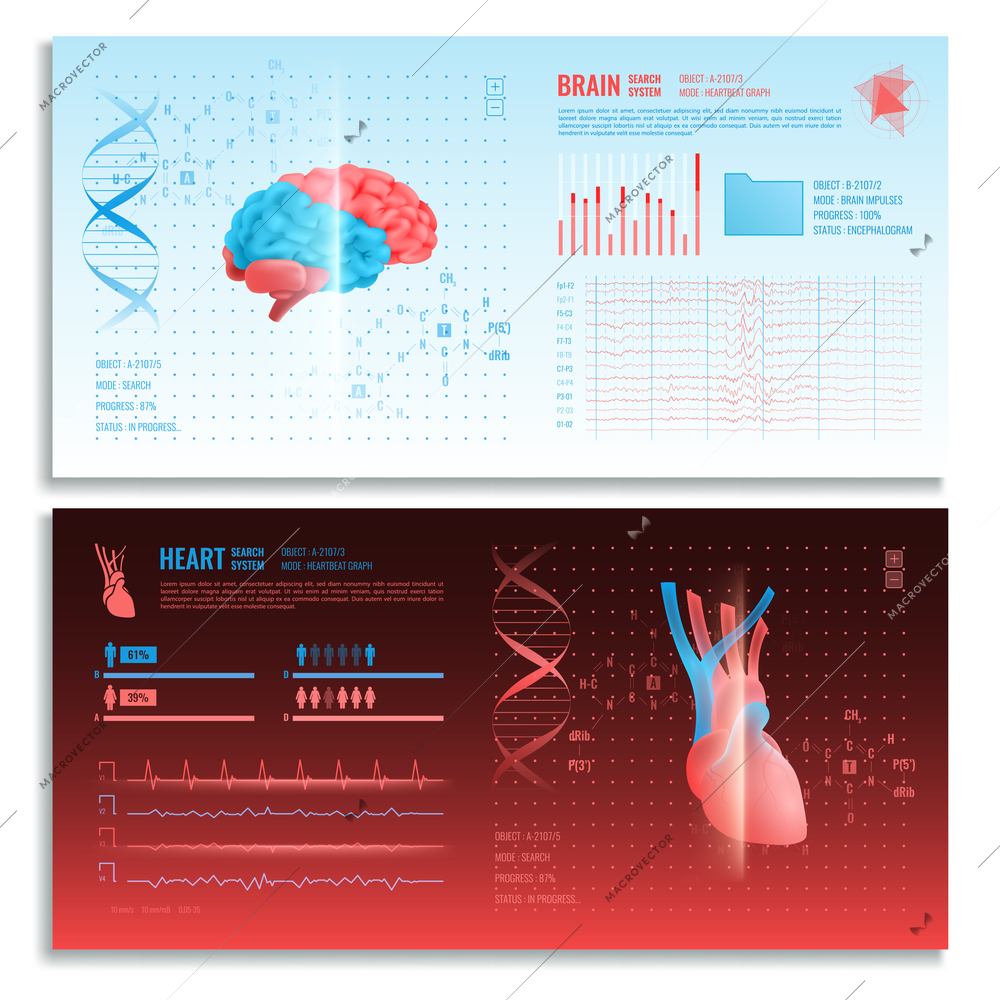 Medical interface horizontal banners with heart and brain realistic images search system and hud elements vector illustration