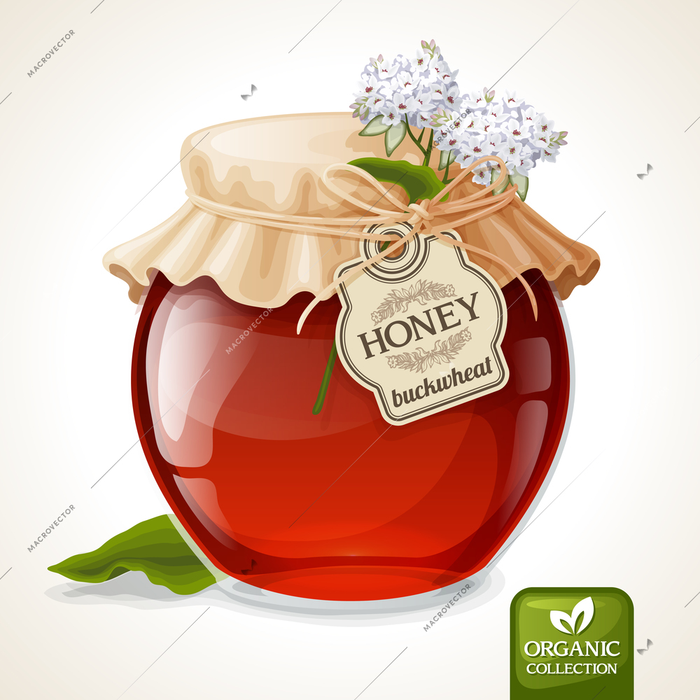 Natural sweet golden organic buckwheat honey in glass jar with tag and paper cover vector illustration