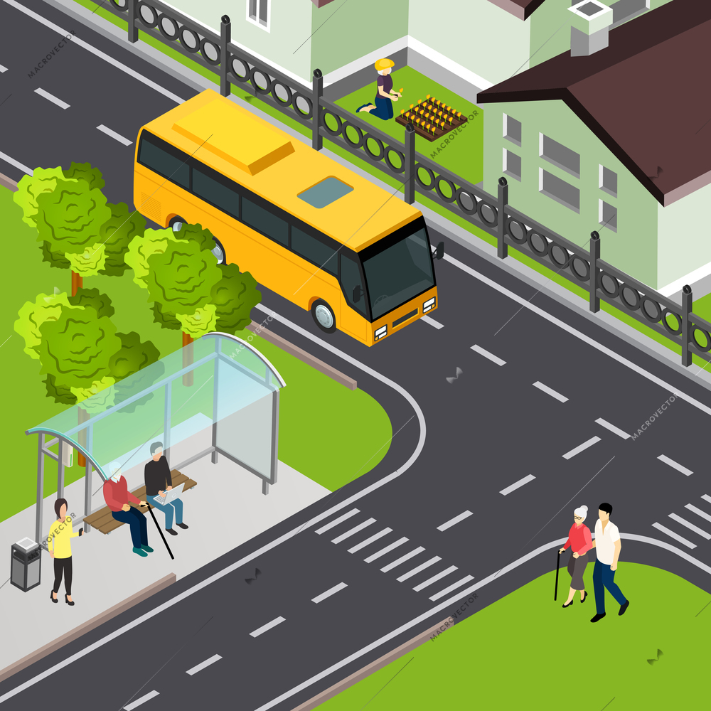 Pensioner waiting public transport and elderly lady with attendant arriving to crosswalk isometric vector illustration