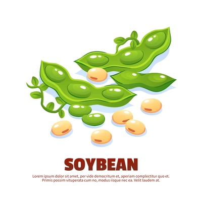 Soybean design composition for template label packing and farmer market emblem with green soy pods and ripe beans cartoon vector illustration