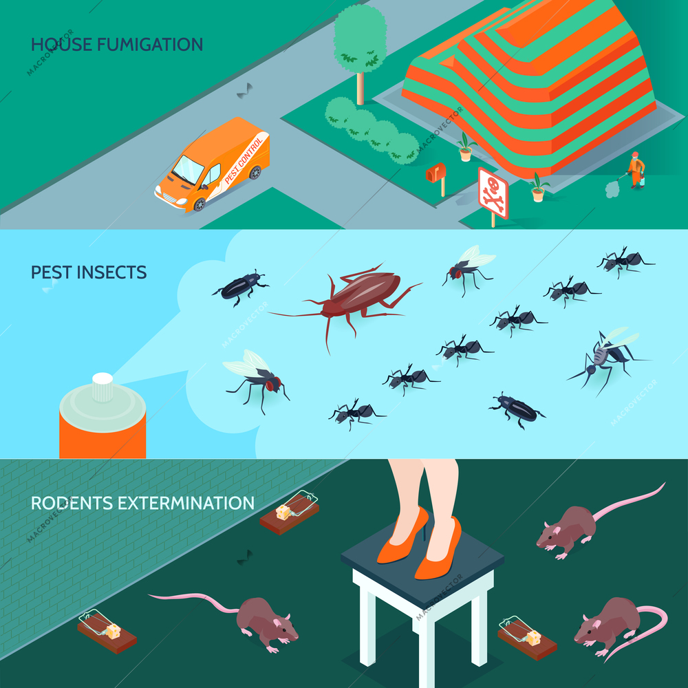 Domestic disinfection horizontal banners set with methods of insects and rodents extermination 3d isometric isolated vector illustration