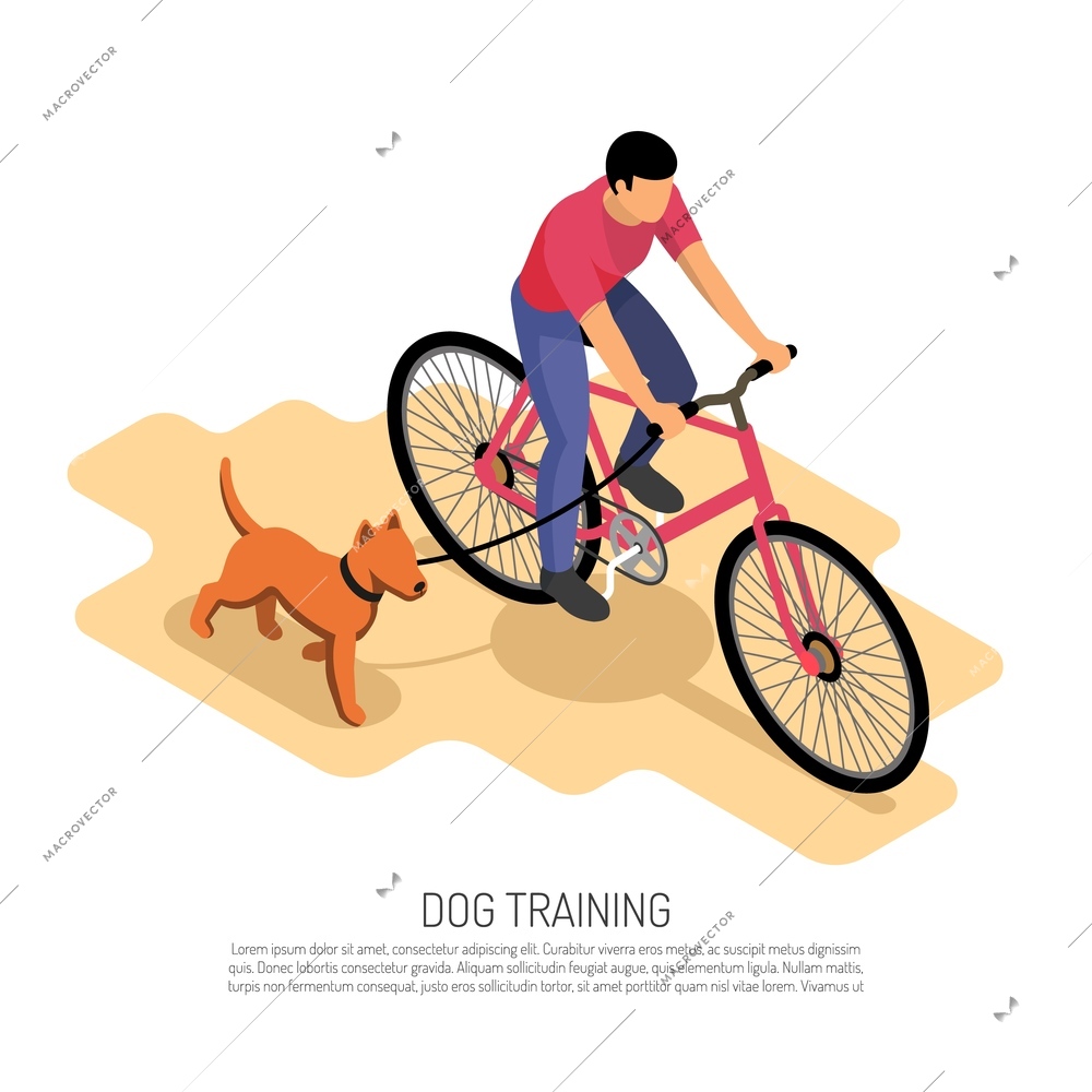 Cynologist endurance training isometric composition with bike riding with running dog aerobic exercise educational poster vector illustration