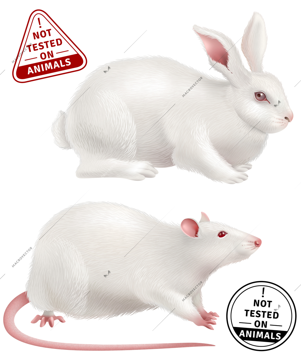 White rabbit and rat realistic icons and stamps with text not tested on animals vector illustration