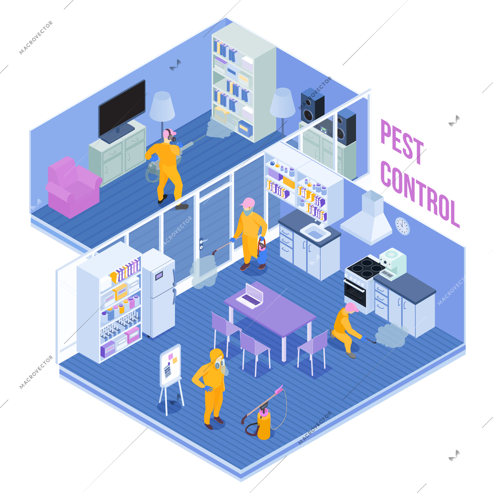 Workers of pest control service during sanitary processing of kitchen and living room isometric vector illustration