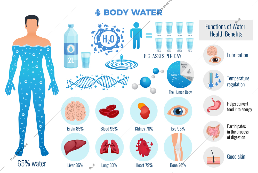 Body and water set with water functions symbols flat isolated vector illustration