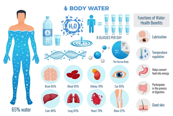 Body and water set with water functions symbols flat isolated vector illustration