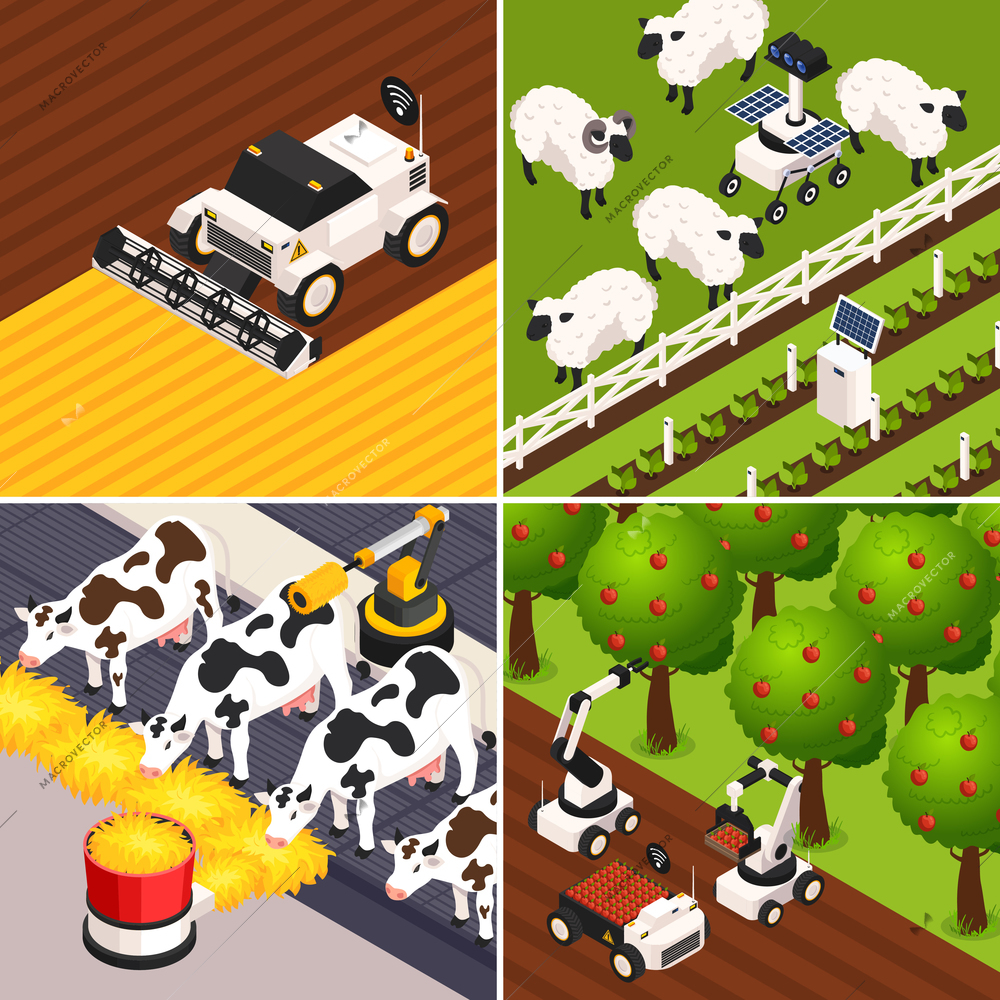 Smart farm concept icons set with farm animals isometric isolated vector illustration