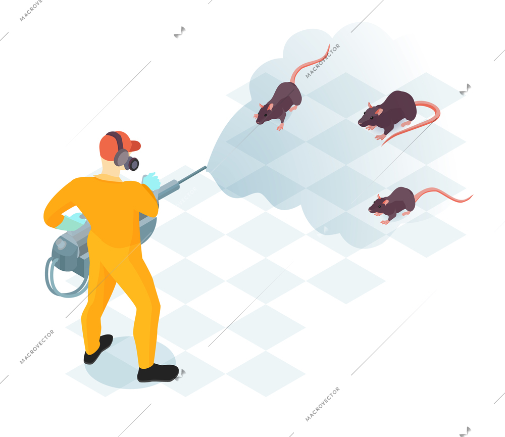 Worker of pest control service with professional equipment during domestic disinfection from rodents isometric vector illustration