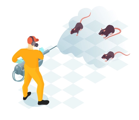 Worker of pest control service with professional equipment during domestic disinfection from rodents isometric vector illustration