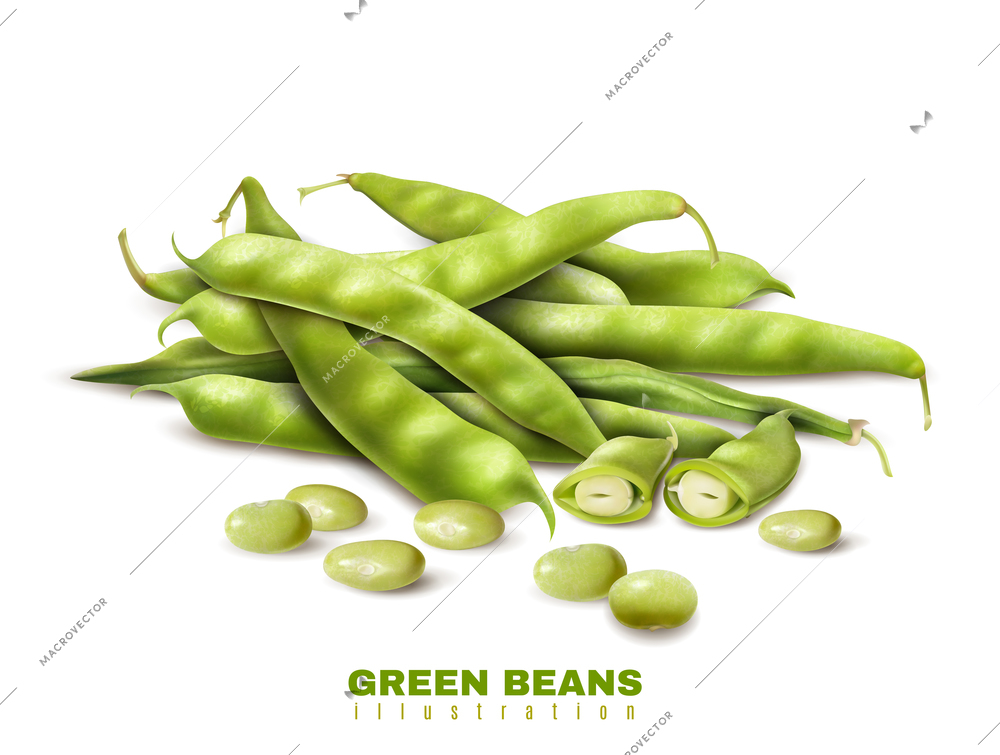 Fresh green organic beans cut and whole pods close up realistic image healthy food advertisement vector illustration