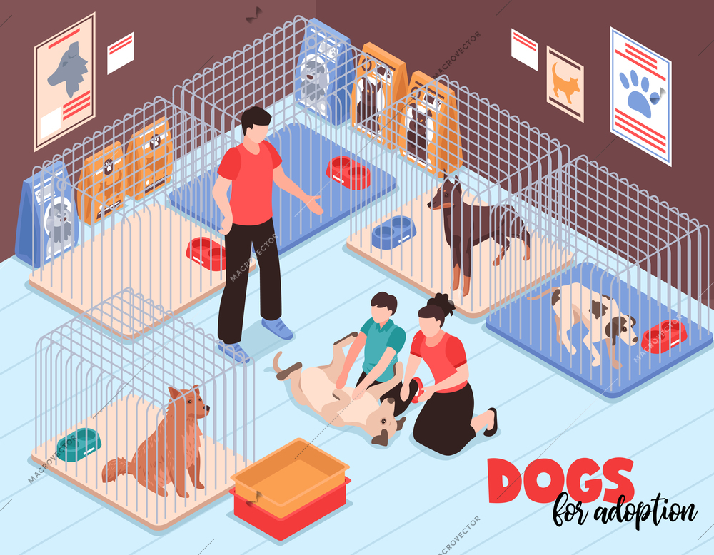 Family couple with son during communication with joyful dog in animal shelter isometric vector illustration