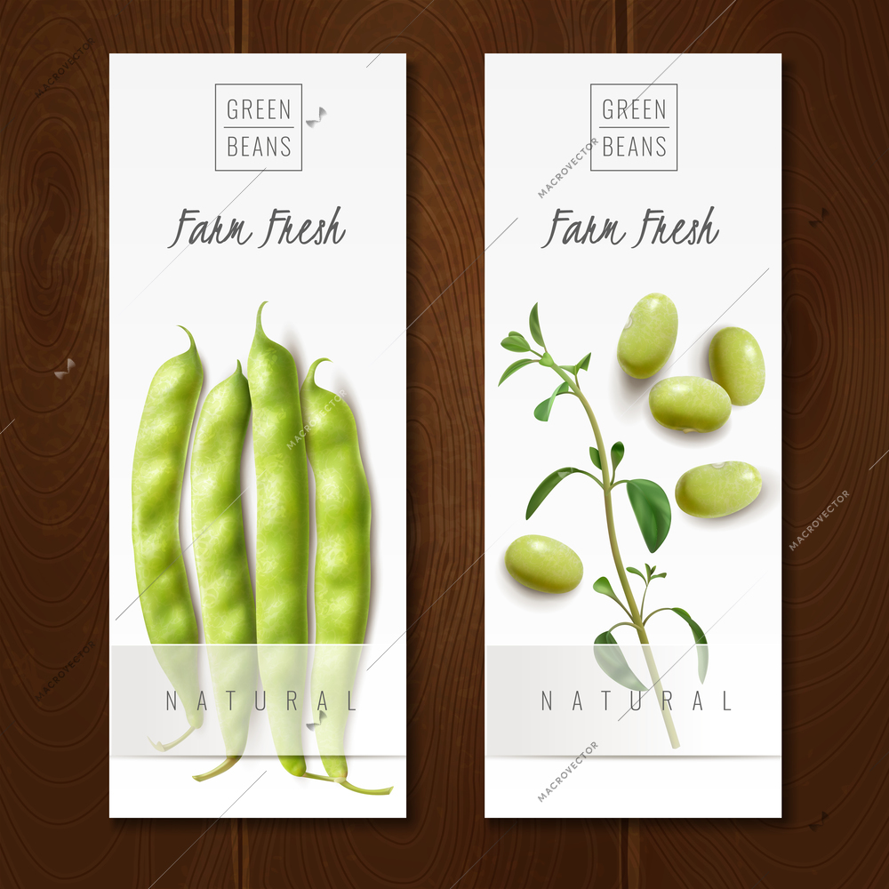 Fresh organic green beans pods healthy choice farm market offer 2 realistic vertical banners isolated vector illustration