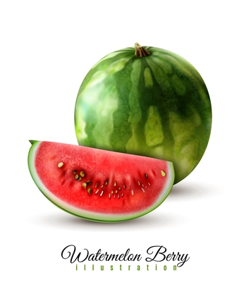 Ripe realistic whole watermelon and quarter berry wedge image against white background shadow beautiful lettering  vector illustration