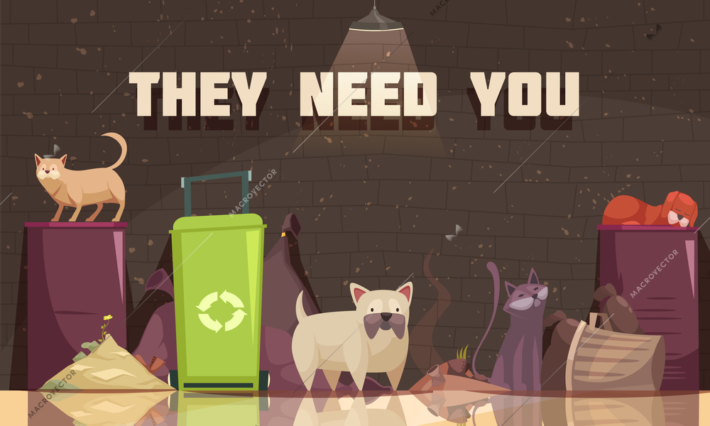 Homeless animals poster with cats near trash containers and they need you headline flat vector illustration