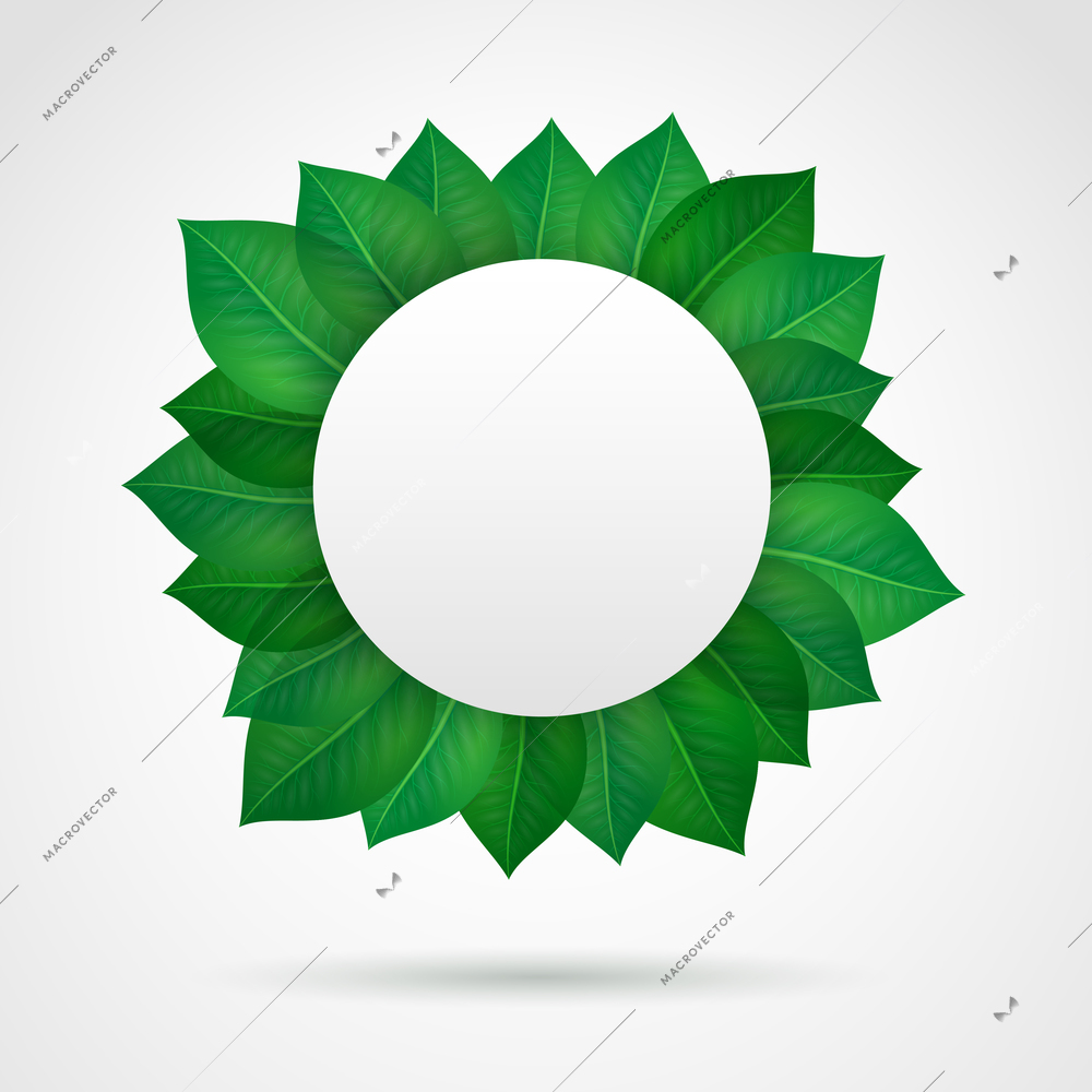 Empty leaves frame border symbol vector illustration