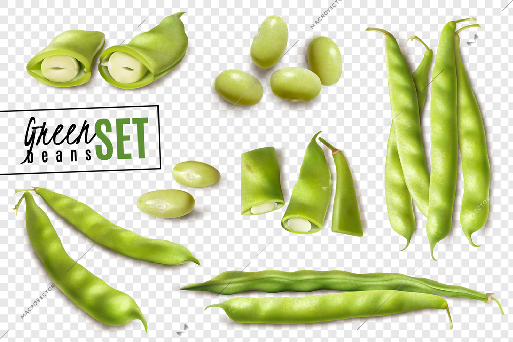 Fresh farmer market organic green beans realistic set with whole and cut pods transparent background vector illustration