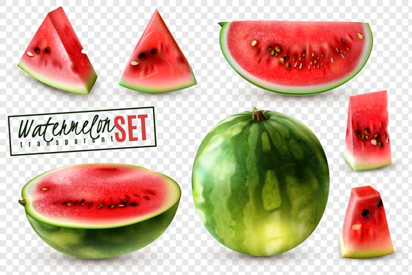 Realistic watermelon set with whole half quarter slices and bite size pieces transparent background isolated vector illustration