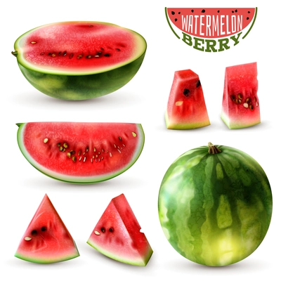 Realistic watermelon images set with whole berry half wedges slices and bite size pieces isolated vector illustration