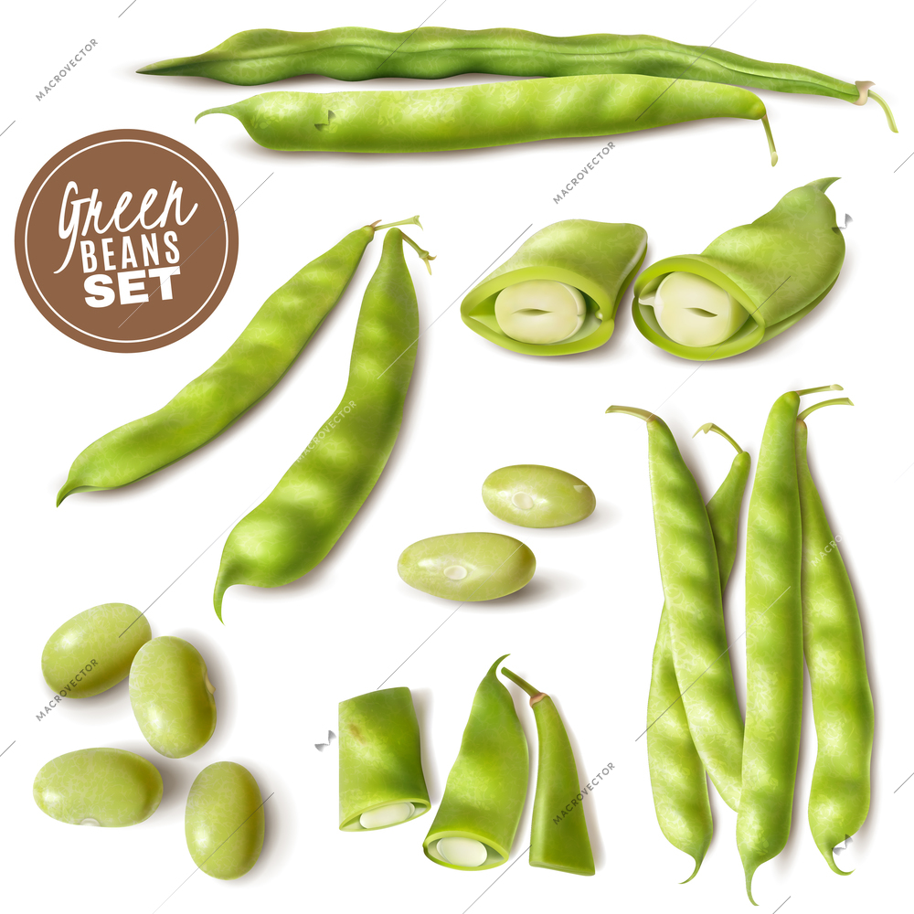 Fresh farmer market green beans realistic set with whole and cut pods ready to cook vector illustration