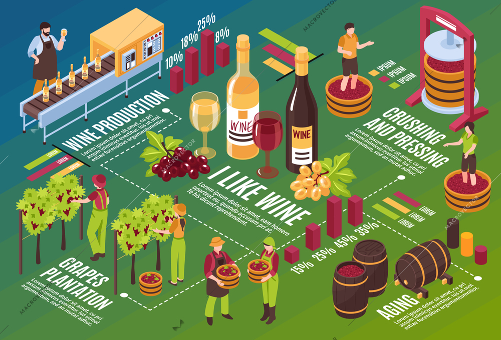 Winery isometric flowchart drink stages production from vineyard till wine aging on green background horizontal vector illustration