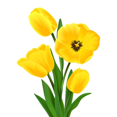 Yellow blossoming tulip flower bouquet realistic vector illustration