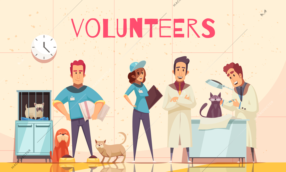 Volunteers flat poster with veterinarian in vet clinic examining sick pet delivered by volunteers vector illustration