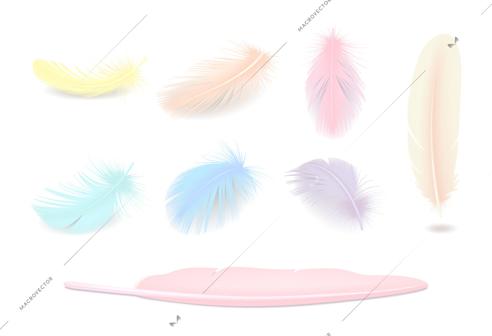 Colored elegant bird feathers realistic set isolated vector illustration