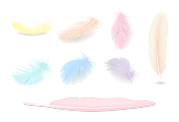 Colored elegant bird feathers realistic set isolated vector illustration